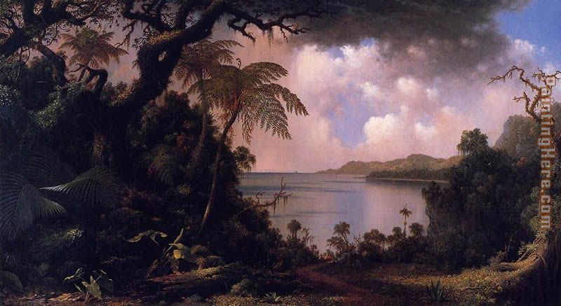 View from Fern-Tree Walk Jamaica painting - Martin Johnson Heade View from Fern-Tree Walk Jamaica art painting